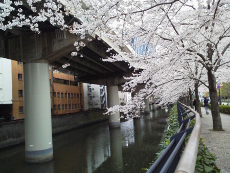 f:id:supiritasu:20160407230832j:image