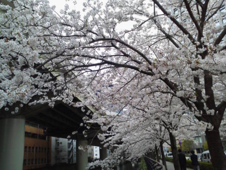 f:id:supiritasu:20160407230834j:image