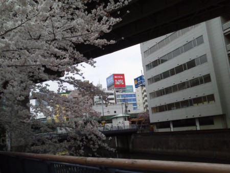 f:id:supiritasu:20160407230835j:image