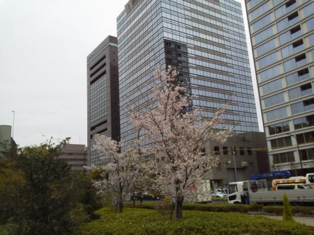 f:id:supiritasu:20160407230840j:image