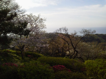 f:id:supiritasu:20160407232427j:image f:id:supiritasu:20160407232427j:image