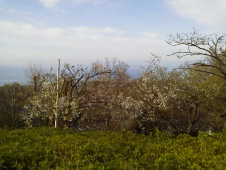 f:id:supiritasu:20160407232428j:image f:id:supiritasu:20160407232428j:image