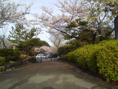 f:id:supiritasu:20160407232431j:image f:id:supiritasu:20160407232431j:image