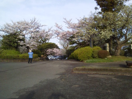 f:id:supiritasu:20160407232433j:image f:id:supiritasu:20160407232433j:image