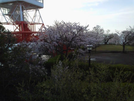 f:id:supiritasu:20160407232434j:image f:id:supiritasu:20160407232434j:image