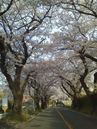 f:id:supiritasu:20160407232949j:image f:id:supiritasu:20160407232949j:image