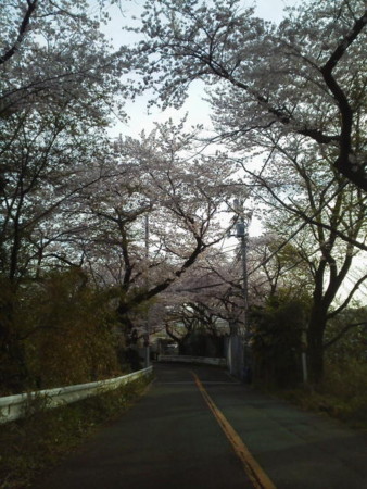 f:id:supiritasu:20160407232950j:image f:id:supiritasu:20160407232950j:image