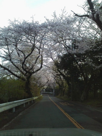 f:id:supiritasu:20160407232951j:image f:id:supiritasu:20160407232951j:image