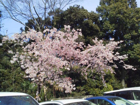 f:id:supiritasu:20170313172308j:image