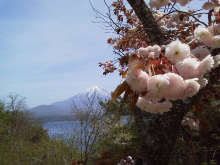 f:id:supiritasu:20170509222948j:image