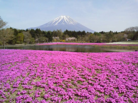 f:id:supiritasu:20170509223853j:image