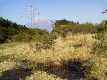 f:id:supiritasu:20170509224745j:image