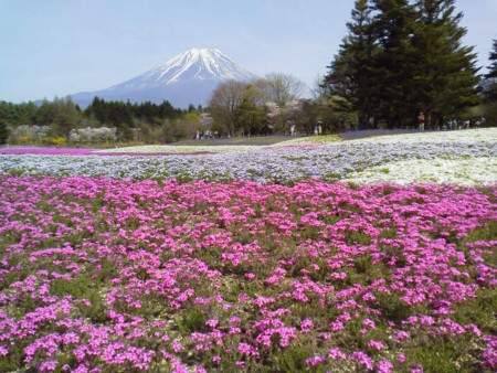 f:id:supiritasu:20170509224748j:image