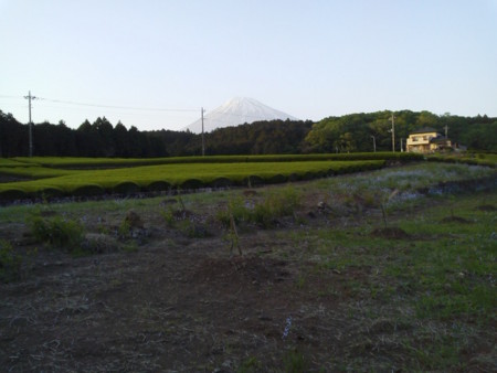 f:id:supiritasu:20170509225325j:image