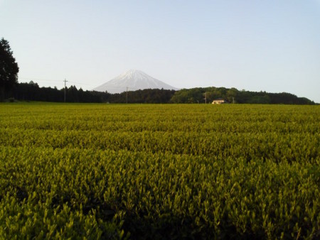 f:id:supiritasu:20170509225326j:image