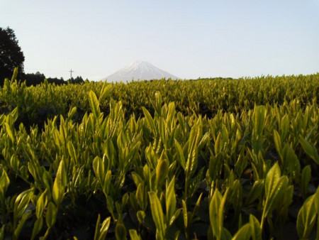 f:id:supiritasu:20170509225327j:image