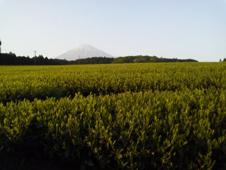 f:id:supiritasu:20170509225328j:image