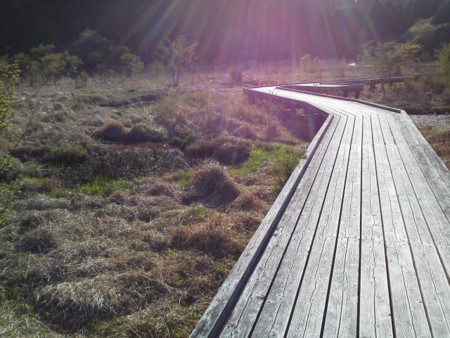 f:id:supiritasu:20170509225802j:image