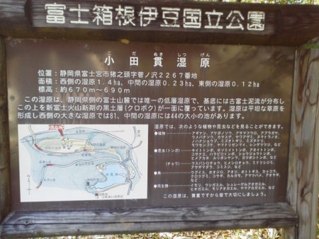 f:id:supiritasu:20170509225803j:image