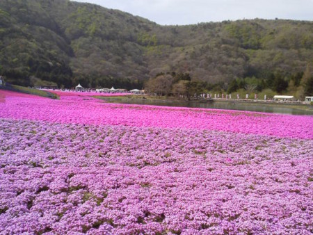 f:id:supiritasu:20170509225805j:image