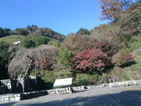 f:id:supiritasu:20181121211918j:image f:id:supiritasu:20181121211918j:image