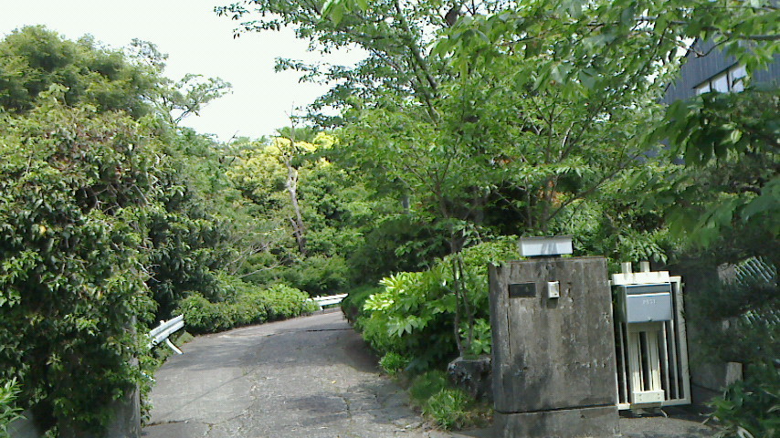 f:id:supiritasu:20190512160851j:plain