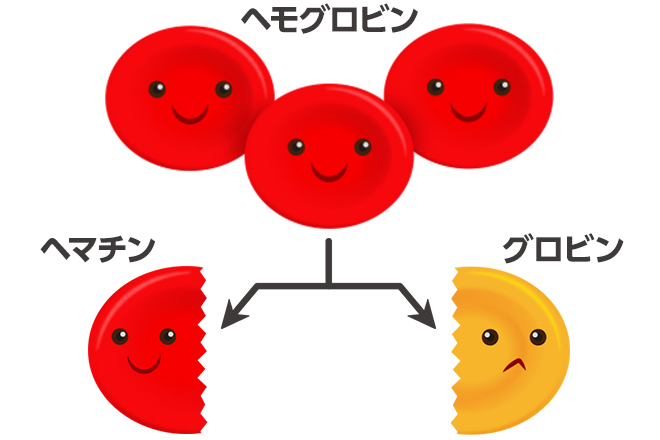毛髪診断士監修 今日からできる 白髪を根本から改善する5つの方法 白髪ニュース 毛髪診断士による白髪の総合情報サイト
