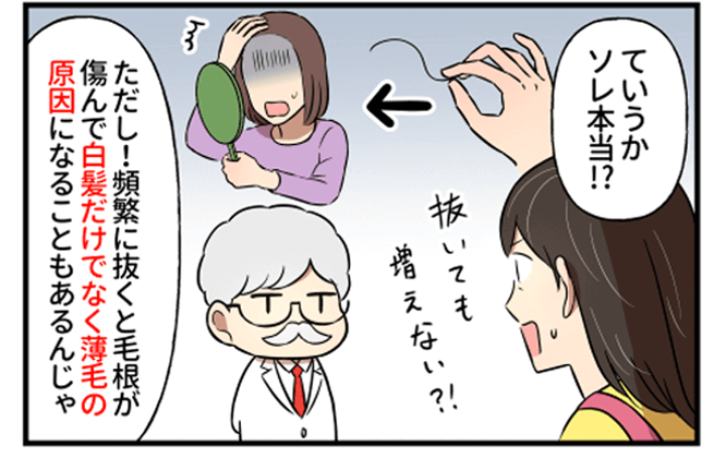 第1話 白髪って抜いたら増えるの 答えはno 白髪ニュース 毛髪診断士による白髪の総合情報サイト