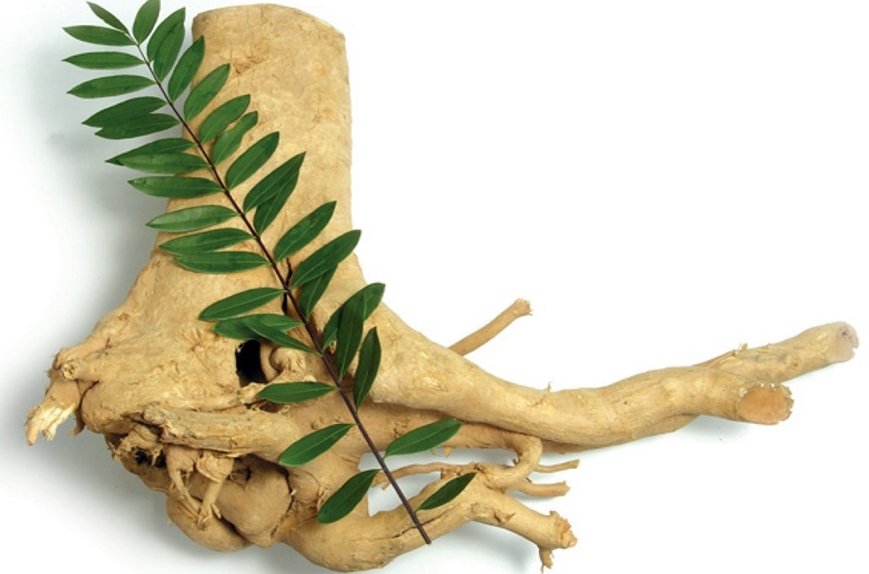 f:id:suppleranger:20170928153806j:plain f:id:suppleranger:20170928153806j:plain