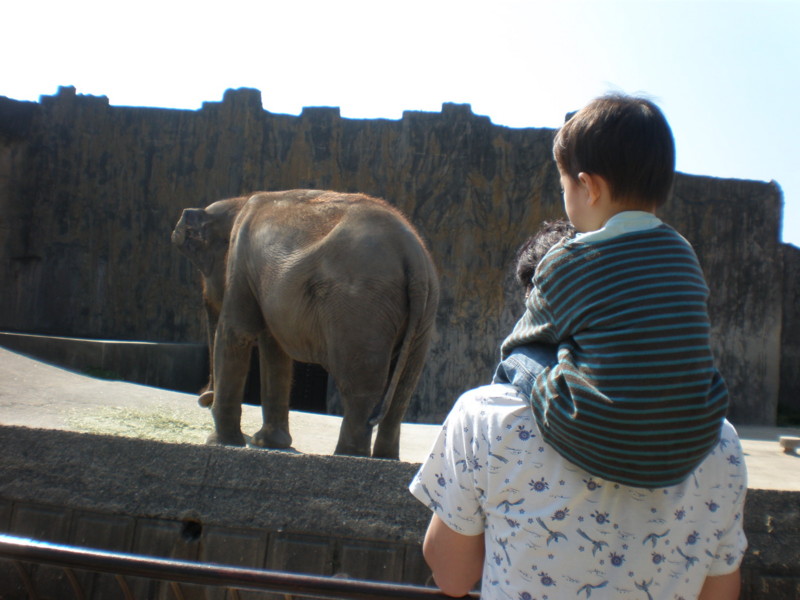 f:id:supply7:20090412145659j:image