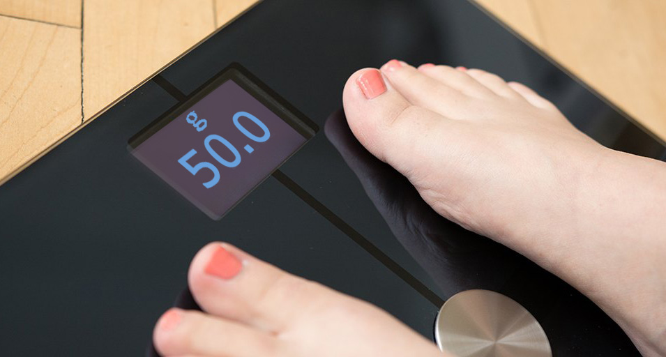 f:id:suppon86:20201101110024j:plain f:id:suppon86:20201101110024j:plain