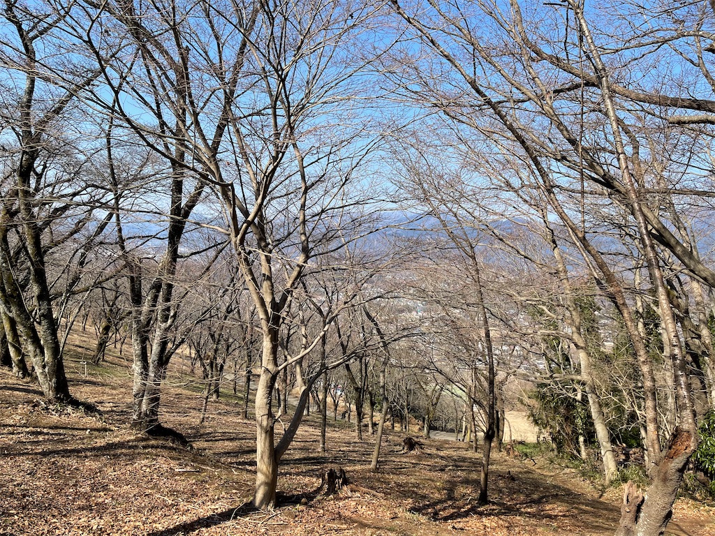 f:id:support-join:20210207123103j:image