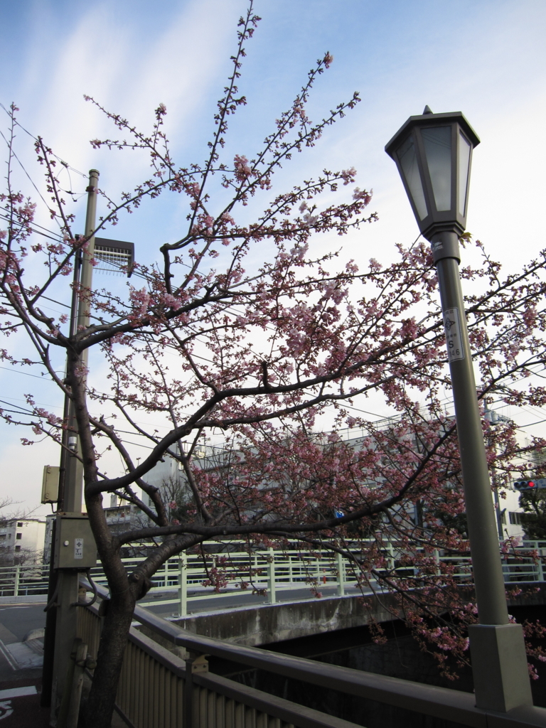 f:id:supportrunner:20180221172010j:plain f:id:supportrunner:20180221172010j:plain