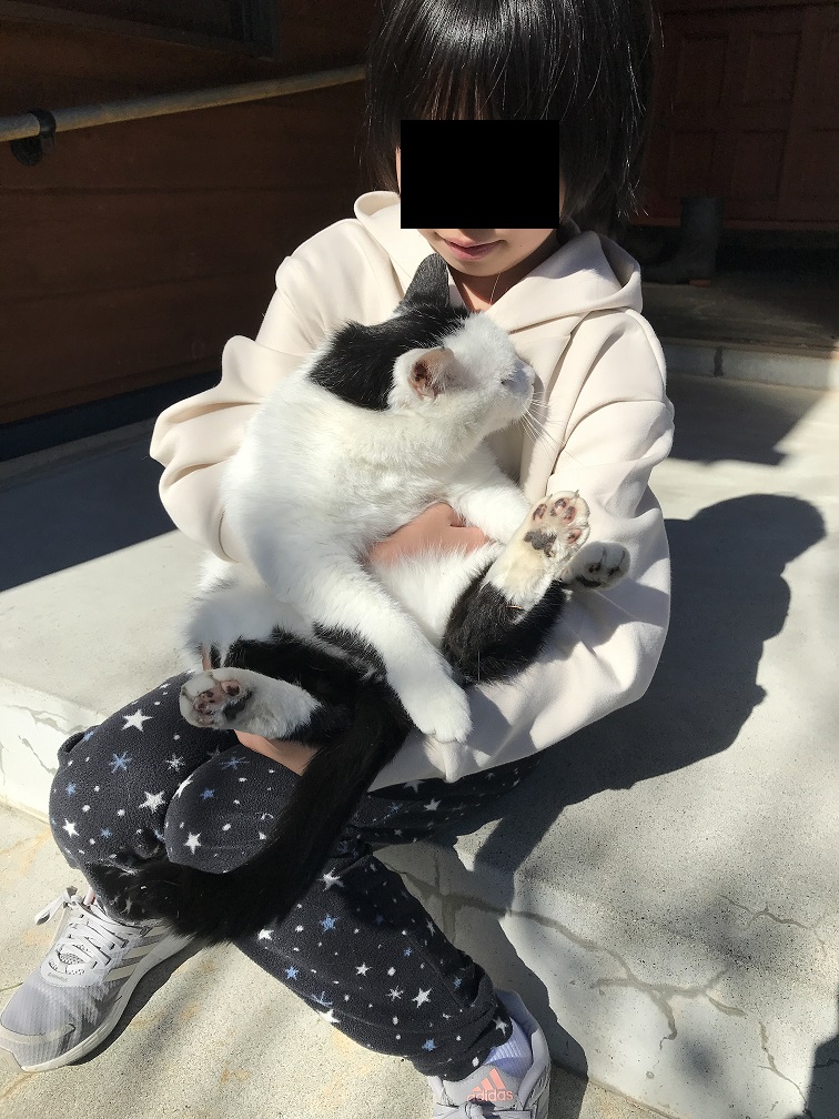 f:id:supragogo:20211114132015j:plain