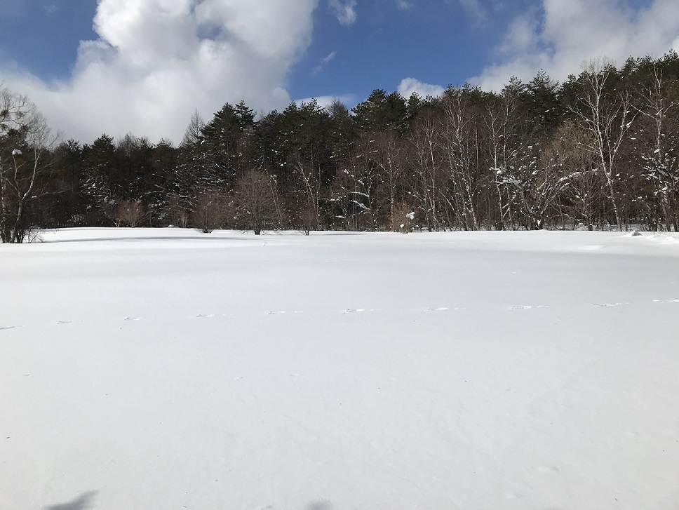 f:id:supragogo:20220116160852j:plain