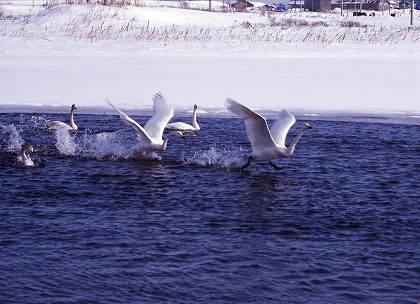 f:id:supt:20161028163236j:plain