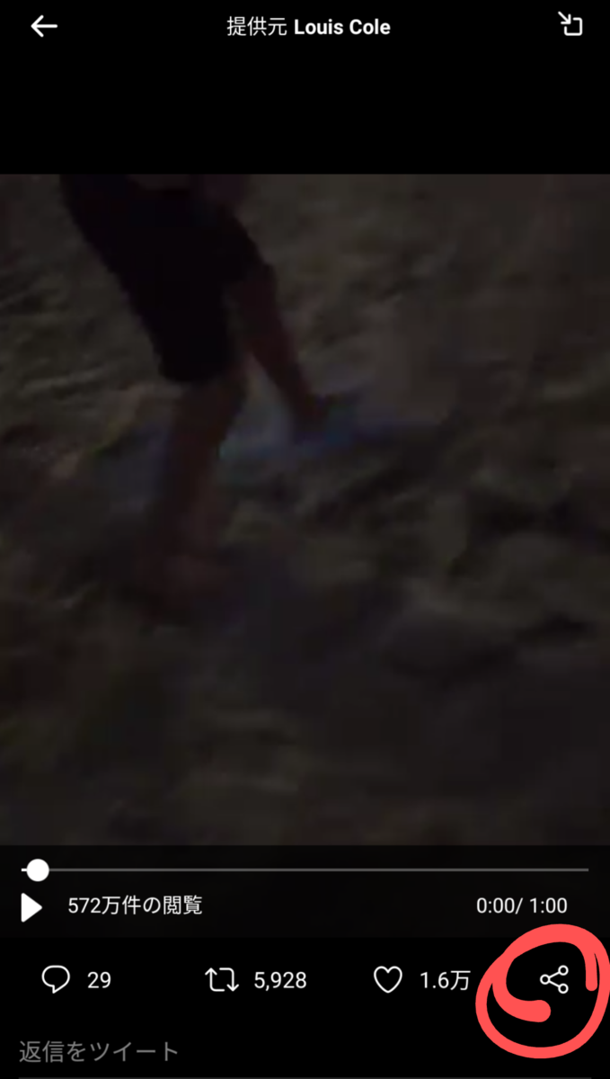 f:id:surakey65:20210128115701p:plain