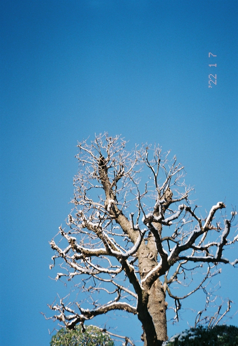 f:id:suramatupagiii:20220121202518j:plain