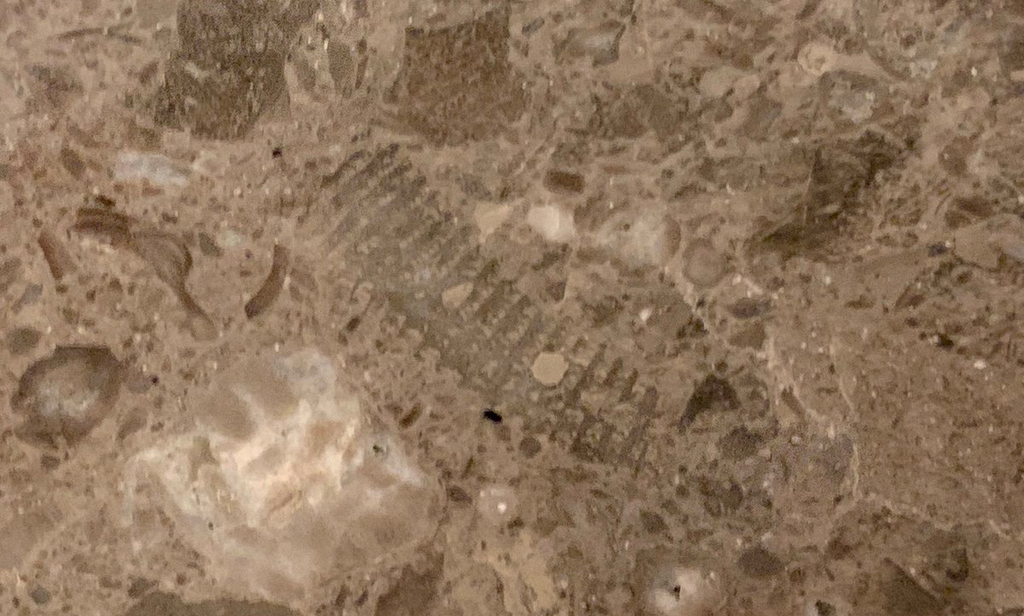 f:id:surasura2525:20190115182112j:plain f:id:surasura2525:20190115182112j:plain