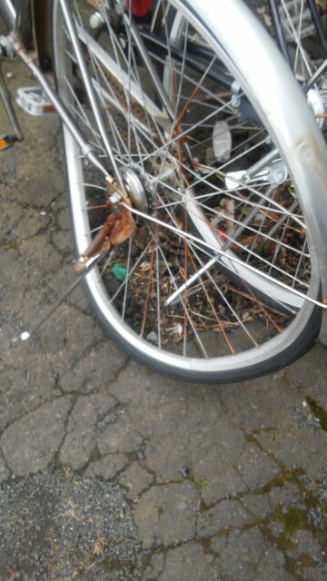 f:id:surbox-aff:20171024224850j:image