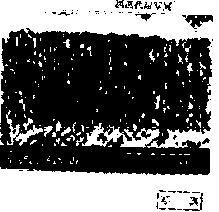 f:id:surefire_way:20070816184934g:image f:id:surefire_way:20070816184934g:image