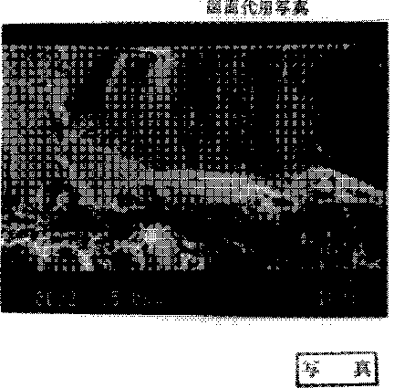 f:id:surefire_way:20070816184948g:image f:id:surefire_way:20070816184948g:image