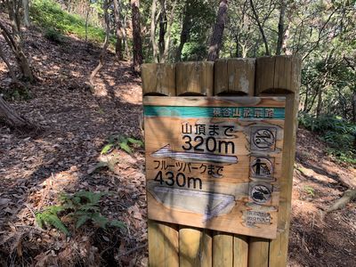 f:id:surfblue:20200225191822j:plain f:id:surfblue:20200225191822j:plain