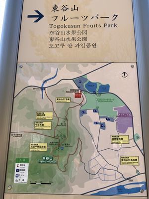 f:id:surfblue:20200225192120j:plain f:id:surfblue:20200225192120j:plain