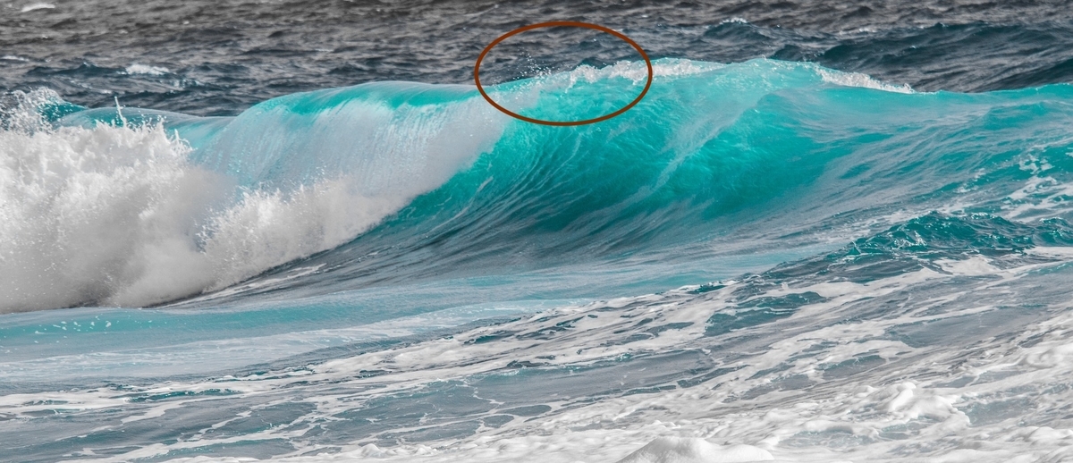 f:id:surfingjp:20210927212335j:plain