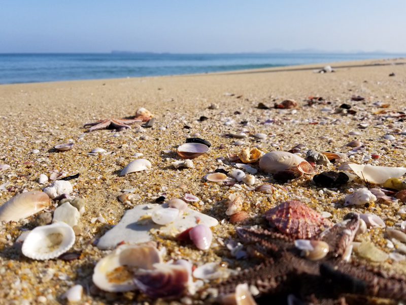 f:id:surfingsurfing:20180313175158j:plain
