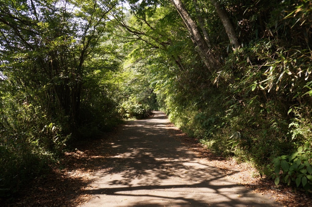 f:id:surflilystyle:20200914223154j:image