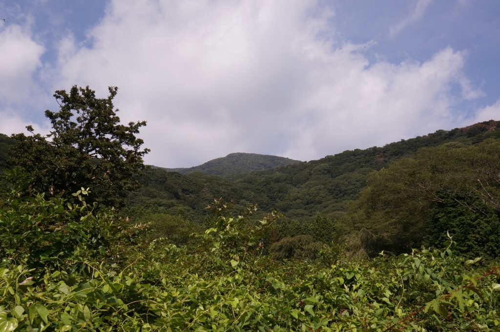 f:id:surflilystyle:20200914223238j:image