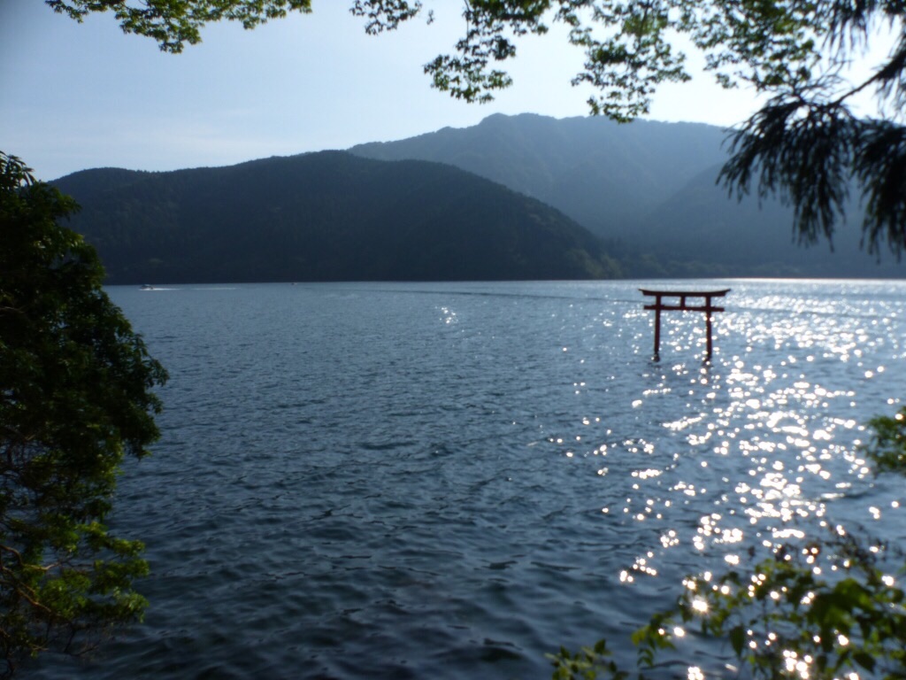f:id:surflilystyle:20201103152531j:image