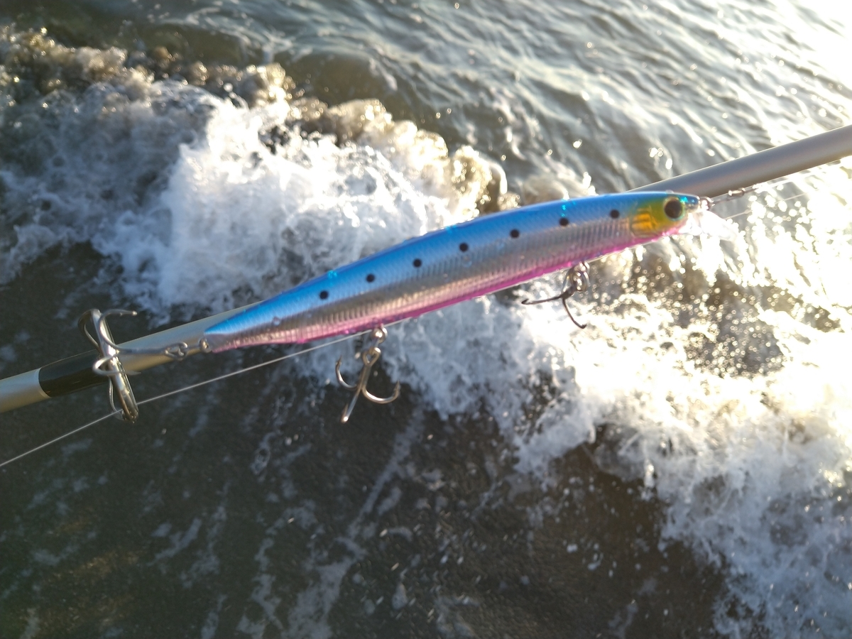 サーフチヌ】サーフでフリッパーZ36を使ってチヌが釣れました